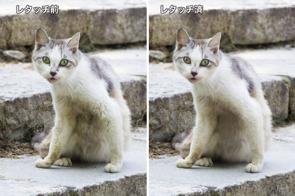 石川 広明 スタジオkoo